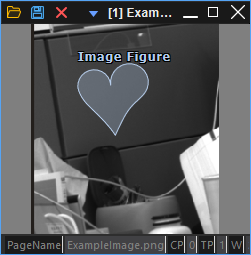 Source Image