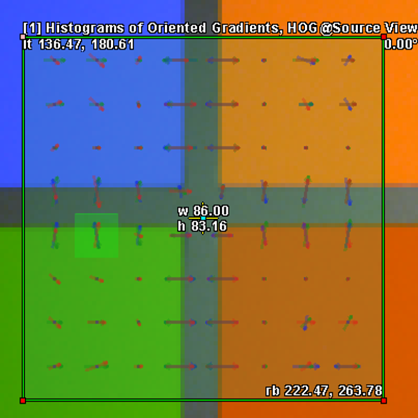 Cell Position