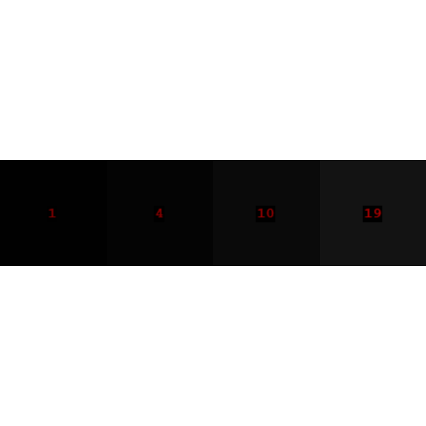 Reduce Y Dimension Destination Image
