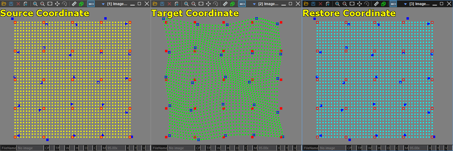 Thin Plate Spline Mapping 변환 결과